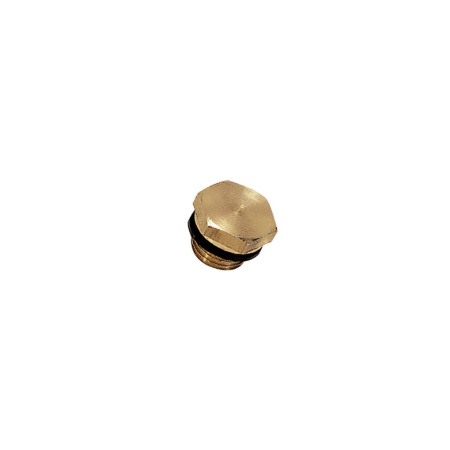 BL'G PLUG    M5    HEX+W BRASS