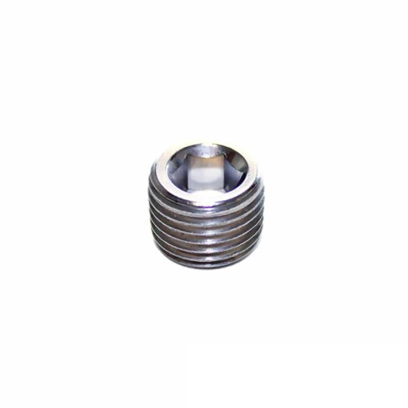 STAINLESS STEEL PLUG 1