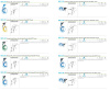 GERMAN BLOW GUN DISPLAY 0653 6