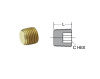 HOLLOW HEX HEAD PLUG MALE 1/8