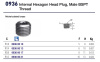 HEXAGON PLUG MALE 1/4" BSPT NI