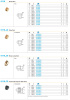 COMPRESSION NUT 12MM