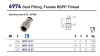 FEMALE STUD 3/8"BSPP SS STEEL